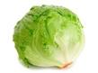 Chou Vert Lisse De France Par 750g