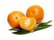 Mandarine Nadorcott De Maroc Par 500g