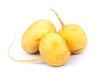 Avet Jaune De France Par 500g