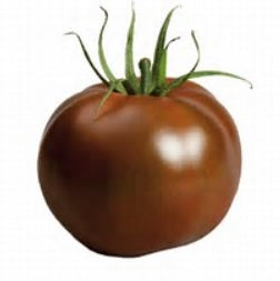 Tomate Ronde Kakao De France Par 500g